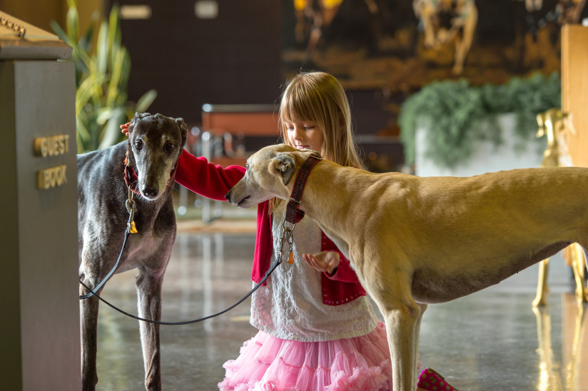 Greyhound-Hall-Of-Fame