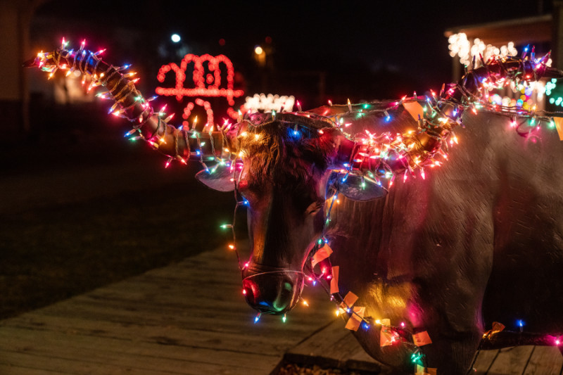 2022 Cowtown Christmas Light Showdown Visit Abilene, Kansas