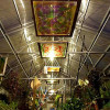 Cedar-House-Greenhouse-Abilene,KS