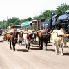 Chisholm-Trail-Days-Abilene-Kansas