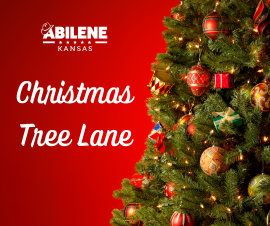 Christmas-Tree-Lane-Abilene,KS